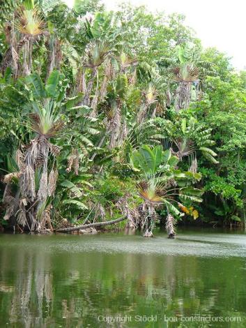 Impressionen von Mauritius