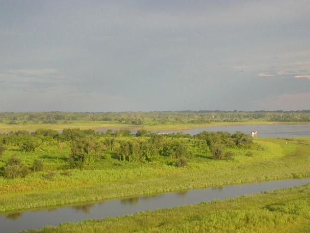 Nebenfluss des Amazonas